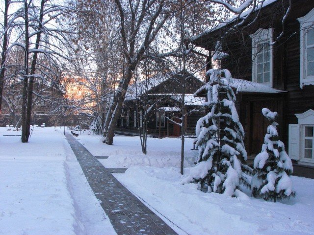 zima